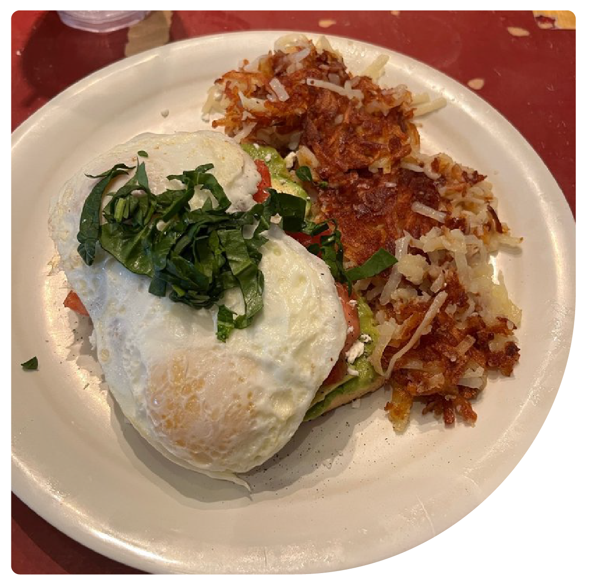 The Blue Berry Café Coffee in Bellbrook, OH